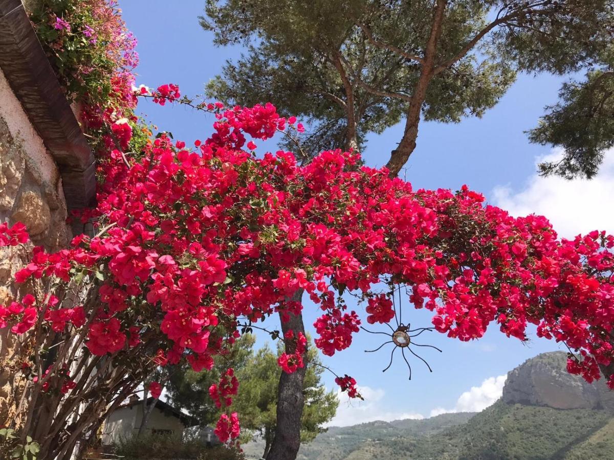 Villaggio Turistico Da Tonino Seglia San Bernardo Dış mekan fotoğraf